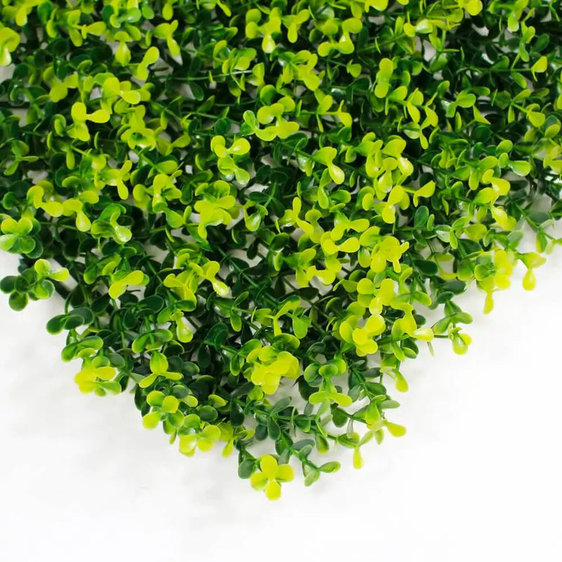 Yellow Buxus Green Wall: 33 SQ FT, UV Protected for Vibrant Longevity