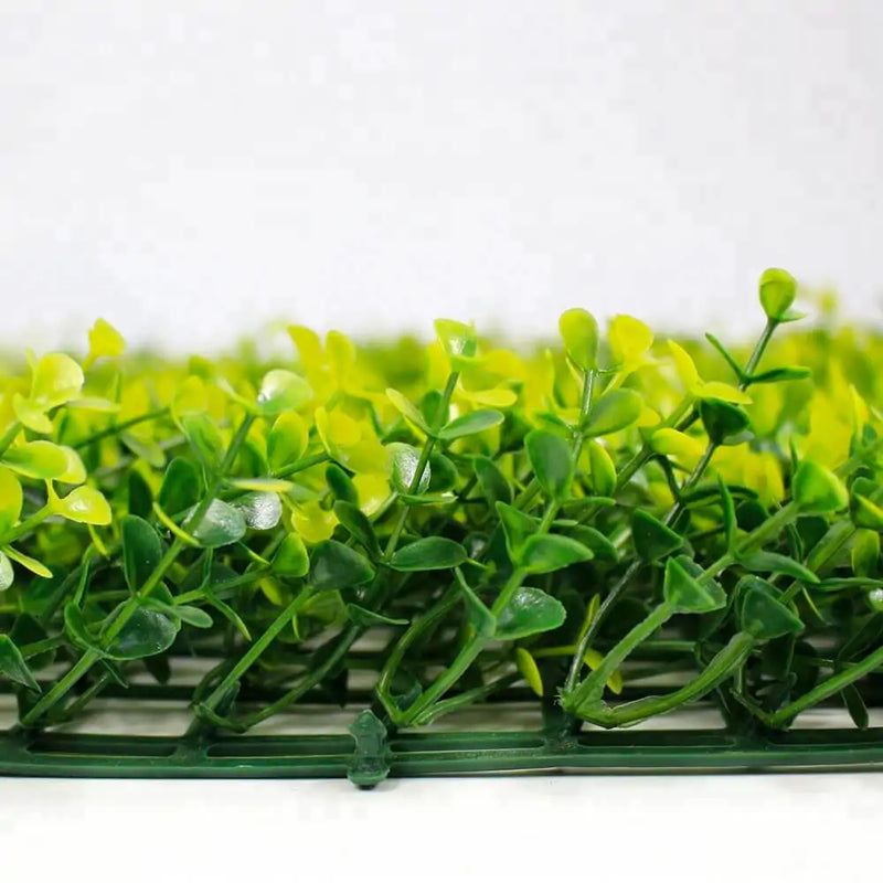 Yellow Buxus Green Wall: 33 SQ FT, UV Protected for Vibrant Longevity