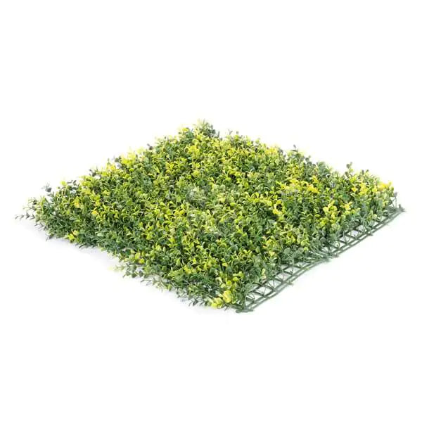 Yellow Buxus Green Wall: 33 SQ FT, UV Protected for Vibrant Longevity